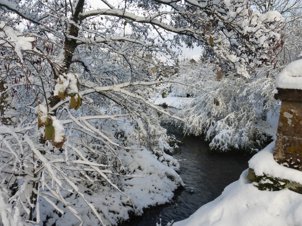 20241122 Luze sous la neige (10)