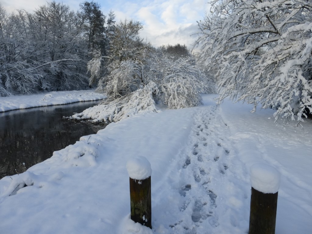 20241122 Luze sous la neige (11)