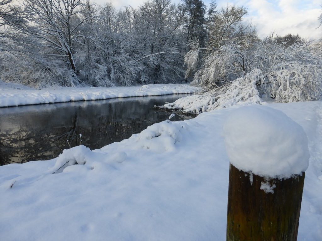 20241122 Luze sous la neige (12)