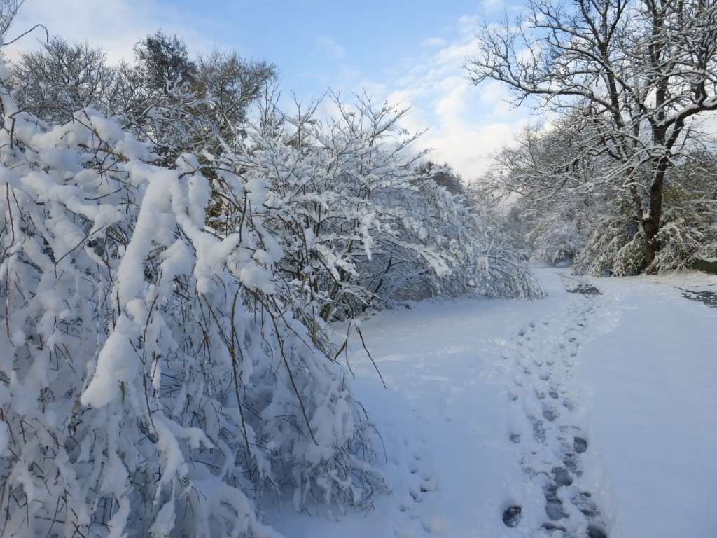 20241122 Luze sous la neige (13)