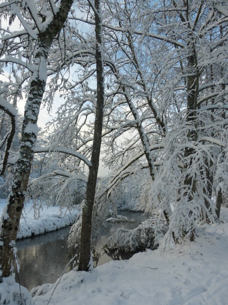 20241122 Luze sous la neige (19)