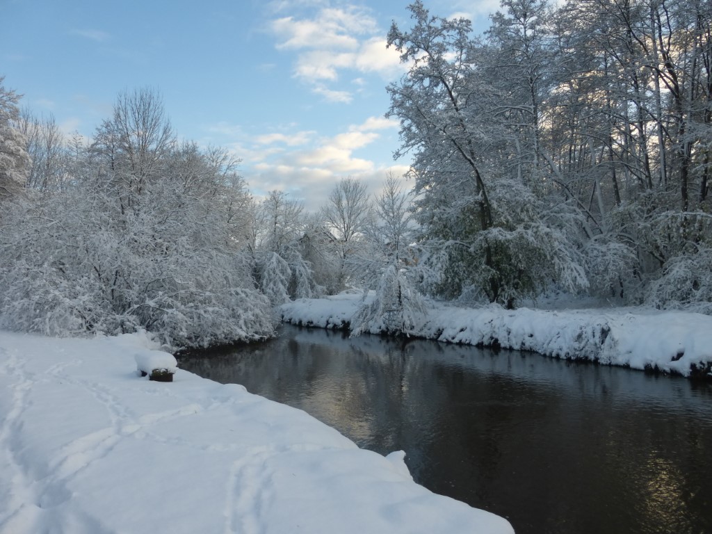 20241122 Luze sous la neige (22)