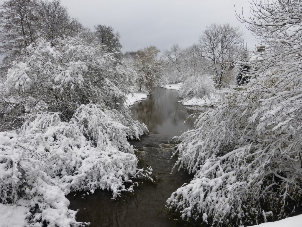 20241122 Luze sous la neige (8)